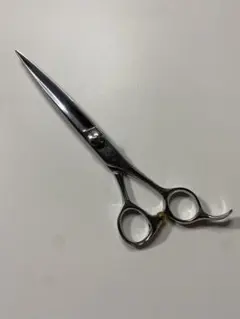 2026年最新】光シザー F-5の人気アイテム - メルカリ