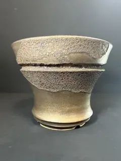 2026年最新】ワイルドヘブン 鉢の人気アイテム - メルカリ