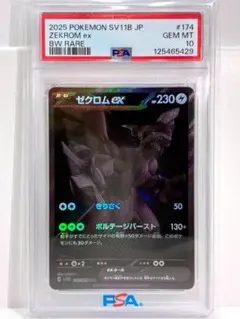 2026年最新】ゼクロム psa10 bwの人気アイテム - メルカリ