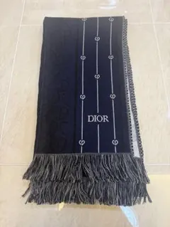 Dior HOMME 04AW ロングマフラーフリンジエディ期 archive - メルカリ