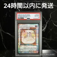 2026年最新】ガーデンローズメイデンの人気アイテム - メルカリ