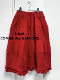 2026年最新】コムデギャルソン スカート 赤の人気アイテム - メルカリ