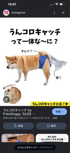 2026年最新】うんコロキャッチの人気アイテム - メルカリ