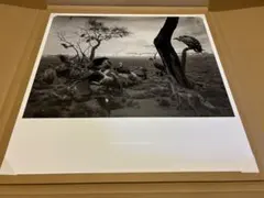 2026年最新】杉本博司ポスターの人気アイテム - メルカリ