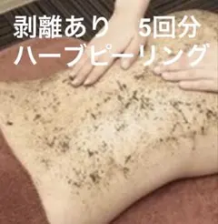 2026年最新】業務用ハーブピーリングの人気アイテム - メルカリ