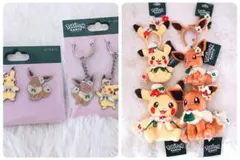 ポケパークカントー 限定 エイパム ぬいぐるみ 5種コンプリートセット