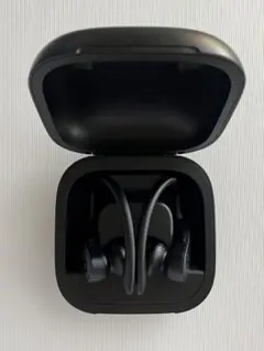 2026年最新】powerbeats proの人気アイテム - メルカリ