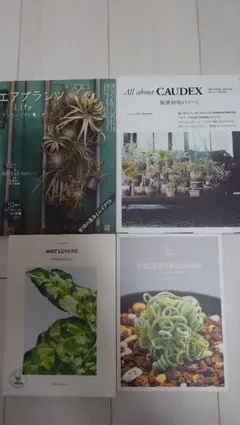 2026年最新】ティランジア・ハンドブックの人気アイテム - メルカリ