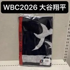 大谷翔平 FOCO社 ミニ ボブルヘッド WBC 完全個数限定版 2個セット