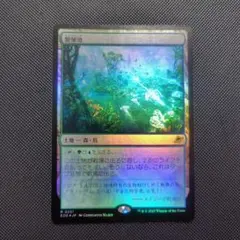 2026年最新】繁殖池 foilの人気アイテム - メルカリ