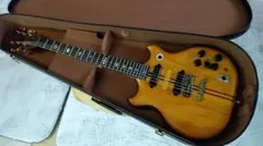 2026年最新】alembic ギターの人気アイテム - メルカリ