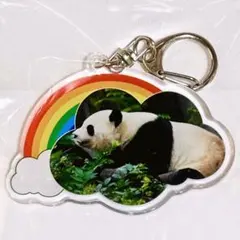 2026年最新】彩浜の人気アイテム - メルカリ