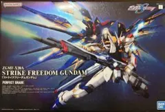 2026年最新】PG 1/60 ZGMF-X20A ストライクフリーダムガンダム の人気