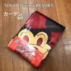 2026年最新】東京ディズニーリゾート カーテンの人気アイテム - メルカリ
