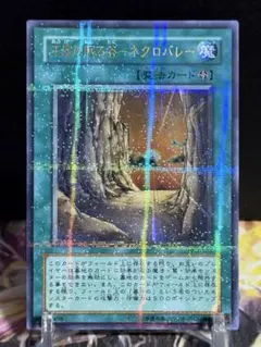 2026年最新】王家の眠る谷 ネクロバレー ウルの人気アイテム - メルカリ