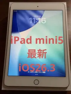 2026年最新】IPad mini 5 64gb セルラーの人気アイテム - メルカリ