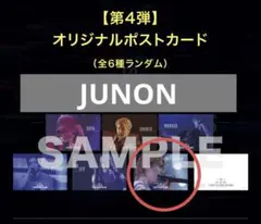 2026年最新】junonの人気アイテム - メルカリ