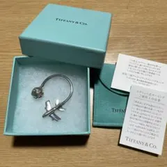 2026年最新】ティファニー 地球儀の人気アイテム - メルカリ