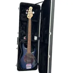 2026年最新】musicman ハードケースの人気アイテム - メルカリ