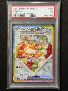 2026年最新】テラスタルフェス イーブイ psa10の人気アイテム - メルカリ