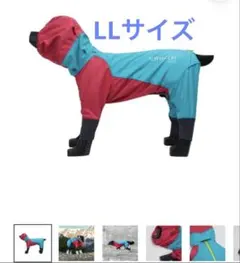 2026年最新】Alphaicon スノーの人気アイテム - メルカリ