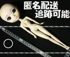 2026年最新】プーリップ エルジェベトの人気アイテム - メルカリ