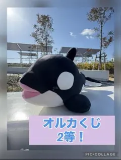 2026年最新】オルカくじ 2等の人気アイテム - メルカリ