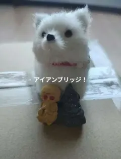 2026年最新】クマントーンの人気アイテム - メルカリ