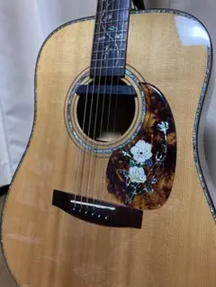 2026年最新】fishman ピックアップの人気アイテム - メルカリ