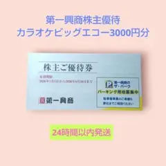 2026年最新】ビックエコーの人気アイテム - メルカリ