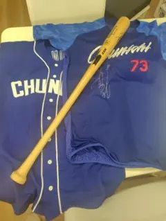 2026年最新】立浪和義 バットの人気アイテム - メルカリ