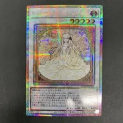 2026年最新】ガーデンローズメイデンの人気アイテム - メルカリ