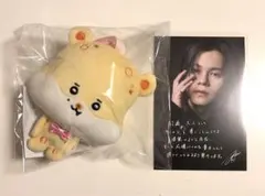 2026年最新】超特急 ぬいぐるみ カイの人気アイテム - メルカリ