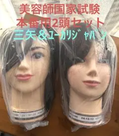 2026年最新】カットウィッグ 国家試験 三矢の人気アイテム - メルカリ