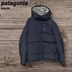 2026年最新】パタゴニア・ルビコン・ダウンジャケットの人気アイテム