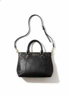 2026年最新】コーチ COACH アシュレイの人気アイテム - メルカリ