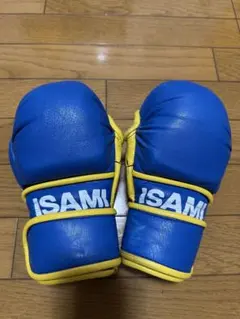 2026年最新】ISAMI パウンドグローブの人気アイテム - メルカリ