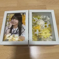 2026年最新】賀喜遥香 サインの人気アイテム - メルカリ