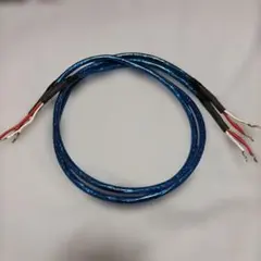 2026年最新】Zonotone 6NSP-2200 Meisterの人気アイテム - メルカリ