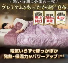 2026年最新】モリリン 1枚2役 あったか6層毛布の人気アイテム - メルカリ