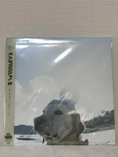 2026年最新】RADWIMPS レコードの人気アイテム - メルカリ