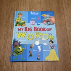 2026年最新】dwe my big book of wordsの人気アイテム - メルカリ