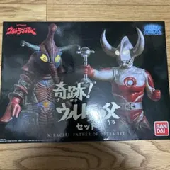 2026年最新】ウルトラの父 奇跡の人気アイテム - メルカリ