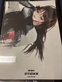 2026年最新】bish ポスター b2の人気アイテム - メルカリ