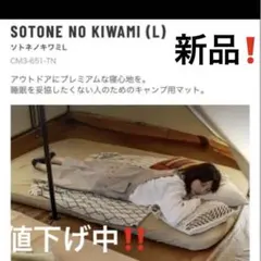 2026年最新】DOD ソトネノキワミ Lの人気アイテム - メルカリ