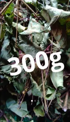 2026年最新】馬ぶどう茶の人気アイテム - メルカリ