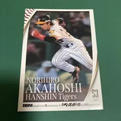 2026年最新】赤星憲広の人気アイテム - メルカリ