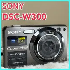 2026年最新】dsc-w300の人気アイテム - メルカリ