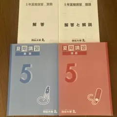 2026年最新】四谷大塚 夏期講習 5年の人気アイテム - メルカリ