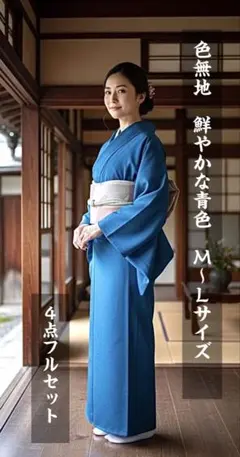 2026年最新】色無地 フルセットの人気アイテム - メルカリ